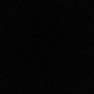 Meet your Posher, Delaney